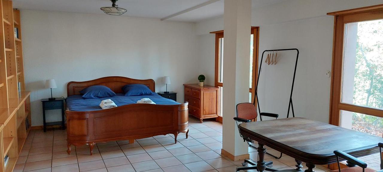 La Canopee Alsacienne - Magnifique Maison A Ribeauville Bagian luar foto