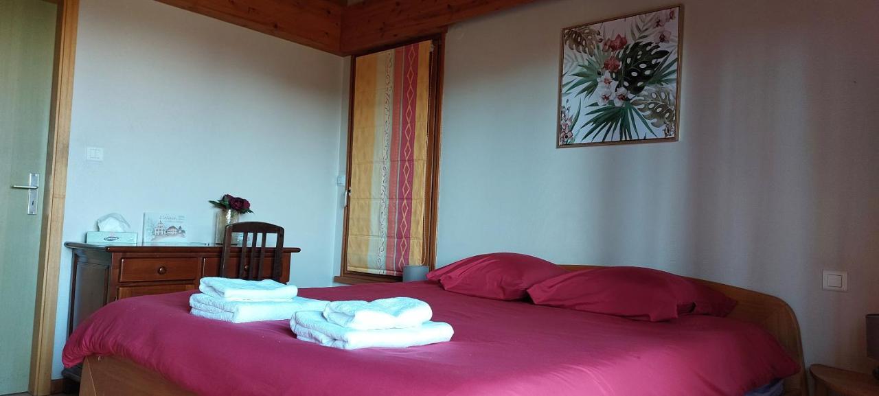 La Canopee Alsacienne - Magnifique Maison A Ribeauville Bagian luar foto