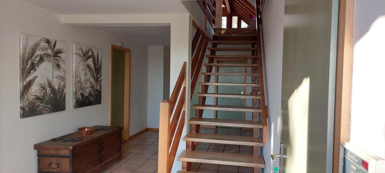La Canopee Alsacienne - Magnifique Maison A Ribeauville Bagian luar foto