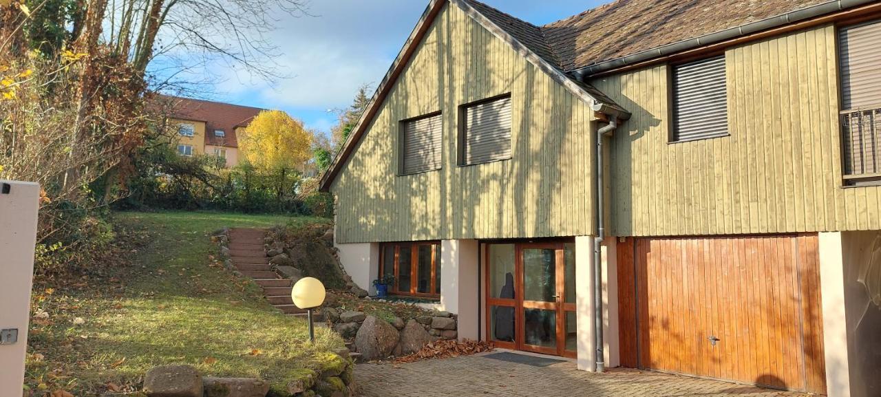 La Canopee Alsacienne - Magnifique Maison A Ribeauville Bagian luar foto