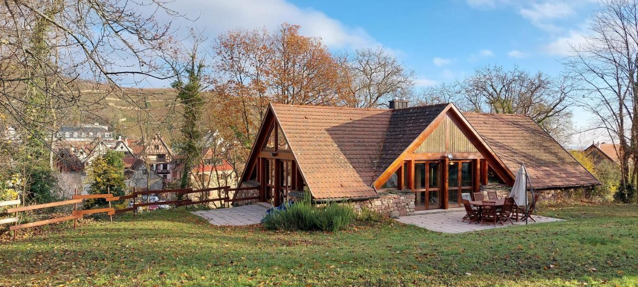 La Canopee Alsacienne - Magnifique Maison A Ribeauville Bagian luar foto